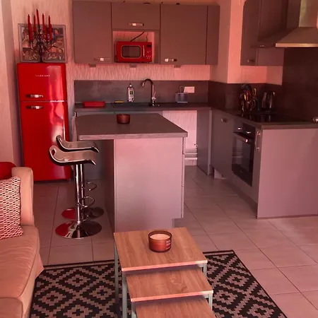 Appartement-rez De Jardin, Parking Prive Et Tram Apartament