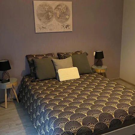 Appartement-rez De Jardin, Parking Prive Et Tram Bischheim