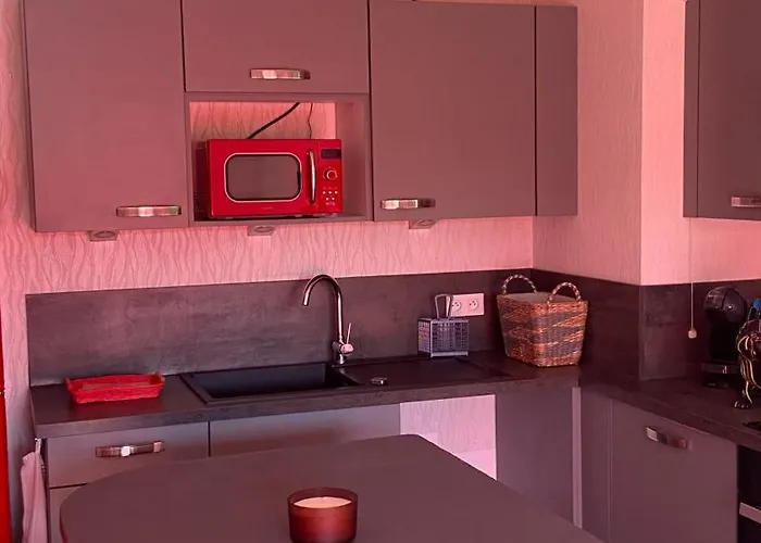 Apartament Appartement-rez De Jardin, Parking Prive Et Tram Bischheim