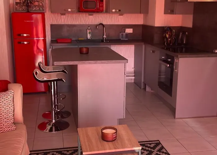 Appartement-rez De Jardin, Parking Prive Et Tram Apartament
