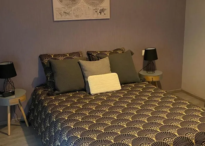 Appartement-rez De Jardin, Parking Prive Et Tram Bischheim